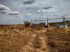 Terreno / Lote Comercial para alugar, 20000m² no Area Rural de Ceilandia, Brasília - Foto 2