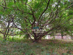 Fazenda / Sítio / Chácara com 3 Quartos à venda, 360m² no NOVA SUICA, Piracicaba - Foto 30