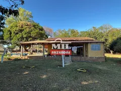 Fazenda / Sítio / Chácara à venda, 190m² no Zona Rural, Faina - Foto 18