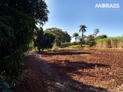 Fazenda / Sítio / Chácara com 3 Quartos à venda, 260m² no , Bariri - Foto 7