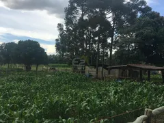 Fazenda / Sítio / Chácara com 3 Quartos à venda, 24200m² no Parque Itaipu, São Carlos - Foto 22
