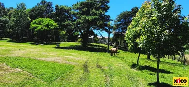 Fazenda / Sítio / Chácara à venda, 84000m² no Vila Germania, Nova Petrópolis - Foto 45