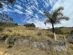 Fazenda / Sítio / Chácara com 3 Quartos à venda, 290000m² no , Lima Duarte - Foto 13