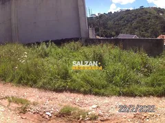 Terreno / Lote Comercial à venda, 2900m² no Floresta Negra, Campos do Jordão - Foto 7