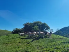 Fazenda / Sítio / Chácara com 3 Quartos à venda, 484000m² no São Francisco Xavier, São José dos Campos - Foto 49