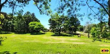 Fazenda / Sítio / Chácara à venda, 84000m² no Vila Germania, Nova Petrópolis - Foto 55