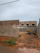 Galpão / Depósito / Armazém à venda, 360m² no Segismundo Pereira, Uberlândia - Foto 9