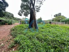 Fazenda / Sítio / Chácara com 3 Quartos à venda, 80m² no Zona Rural, São Sebastião do Oeste - Foto 20