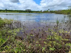 Fazenda / Sítio / Chácara com 3 Quartos à venda, 12000m² no Zona Rural, Lagoa de Pedras - Foto 11