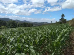 Terreno / Lote / Condomínio à venda, 21147m² no Centro, Linha Nova - Foto 7