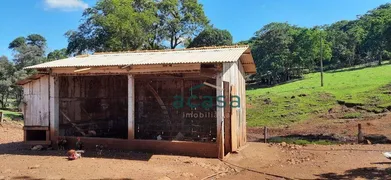 Fazenda / Sítio / Chácara à venda, 251500m² no Iguipora, Marechal Cândido Rondon - Foto 11