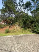 Terreno / Lote / Condomínio à venda, 503m² no Pórtico, Gramado - Foto 11