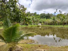 Fazenda / Sítio / Chácara com 6 Quartos à venda, 12000m² no Chapada Grande, Serra - Foto 5