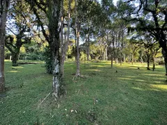 Fazenda / Sítio / Chácara com 3 Quartos à venda, 200m² no Planta Entremar, Piraquara - Foto 24