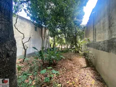 Terreno / Lote / Condomínio à venda, 300m² no Vila Mascote, São Paulo - Foto 11