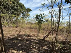 Fazenda / Sítio / Chácara com 2 Quartos à venda, 12m² no Zona Rural, Poconé - Foto 23