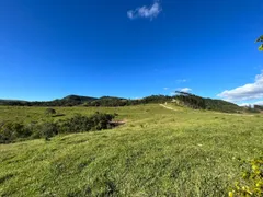 Fazenda / Sítio / Chácara à venda, 3025000m² no Zona Rural, Ibiporã - Foto 30