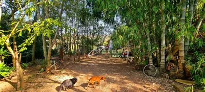 Fazenda / Sítio / Chácara com 4 Quartos à venda, 191000m² no Itapeti, Guararema - Foto 37