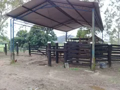 Fazenda / Sítio / Chácara com 4 Quartos à venda, 4600000m² no Centro, Macaé - Foto 24