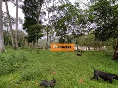 Fazenda / Sítio / Chácara com 4 Quartos à venda, 9000m² no Estância Piratininga, Suzano - Foto 13