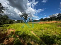 Fazenda / Sítio / Chácara com 3 Quartos à venda, 300m² no Zona Rural, São Sebastião do Oeste - Foto 16