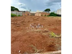 Terreno / Lote / Condomínio à venda, 250m² no Laranjeiras, Uberlândia - Foto 1