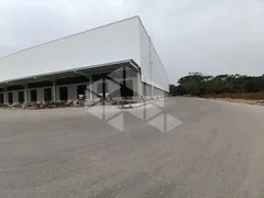 Conjunto Comercial / Sala para alugar, 8002m² no , Flores da Cunha - Foto 6