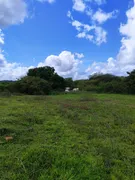 Fazenda / Sítio / Chácara com 3 Quartos à venda, 5000m² no Zona Rural, Monte Alegre - Foto 14