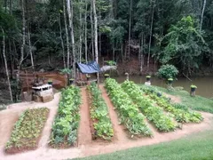 Fazenda / Sítio / Chácara com 3 Quartos à venda, 10000m² no Paraju, Domingos Martins - Foto 18
