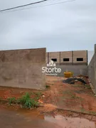 Galpão / Depósito / Armazém à venda, 361m² no Segismundo Pereira, Uberlândia - Foto 13