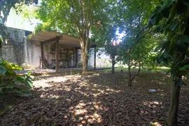 Terreno / Lote / Condomínio à venda, 261m² no Jardim Guedala, São Paulo - Foto 6