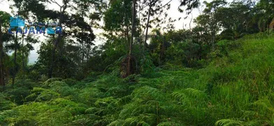 Terreno / Lote / Condomínio à venda, 5000m² no , Pirapora do Bom Jesus - Foto 2