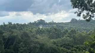 Terreno / Lote / Condomínio à venda, 16500m² no , Gramado - Foto 1