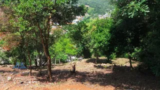 Terreno / Lote / Condomínio à venda, 1008m² no Cachoeira do Bom Jesus, Florianópolis - Foto 11