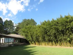 Casa Comercial com 14 Quartos para alugar, 2650m² no Sitio Bela Vista, Mauá - Foto 33