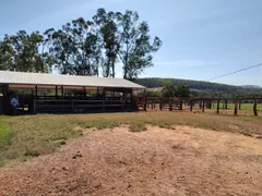 Fazenda / Sítio / Chácara com 3 Quartos à venda, 90m² no Zona Rural, Jaraguá - Foto 2