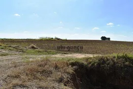 Fazenda / Sítio / Chácara com 5 Quartos à venda, 1258400m² no , Porto Feliz - Foto 6