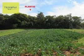 Fazenda / Sítio / Chácara com 7 Quartos à venda, 1000m² no Vila Olinda, Piedade - Foto 19