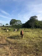 Terreno / Lote Comercial à venda no Cajueiro, São João da Barra - Foto 4