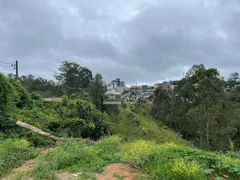 Terreno / Lote / Condomínio à venda, 786m² no Quinta dos Angicos, Cotia - Foto 5