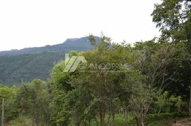 Fazenda / Sítio / Chácara à venda, 38000m² no Varzea Grande, Gramado - Foto 4