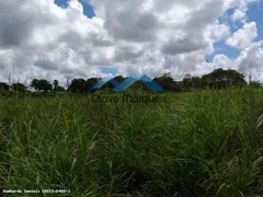 Fazenda / Sítio / Chácara à venda, 275000m² no Trairas, Macaíba - Foto 3