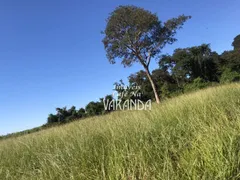 Fazenda / Sítio / Chácara com 4 Quartos à venda, 250m² no Centro, José Bonifácio - Foto 7