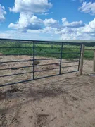 Fazenda / Sítio / Chácara com 2 Quartos à venda, 4000000m² no Zona Rural, Pompéu - Foto 9