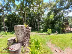 Fazenda / Sítio / Chácara com 3 Quartos à venda, 100m² no Pinhal Alto, Nova Petrópolis - Foto 31