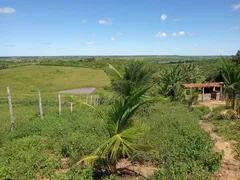 Fazenda / Sítio / Chácara com 3 Quartos à venda, 6600m² no Zona Rural, São José de Mipibu - Foto 16