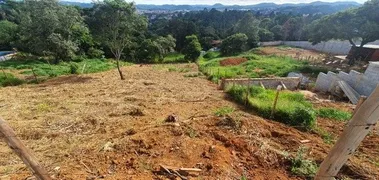 Terreno / Lote / Condomínio à venda, 1160m² no Parque Jaguari Fazendinha, Santana de Parnaíba - Foto 4