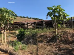 Fazenda / Sítio / Chácara com 4 Quartos à venda, 310000m² no , Rio Casca - Foto 5