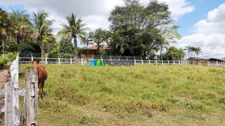 Fazenda / Sítio / Chácara com 1 Quarto à venda, 55m² no Zona Rural, Nova Serrana - Foto 11