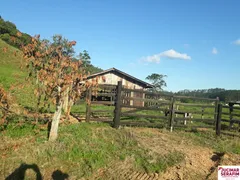 Fazenda / Sítio / Chácara com 2 Quartos à venda, 12m² no Oliveiras, Tijucas - Foto 4